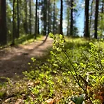 Black Alpesi faház Vierumäki