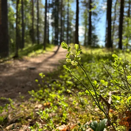 Black Chalet Vierumäki