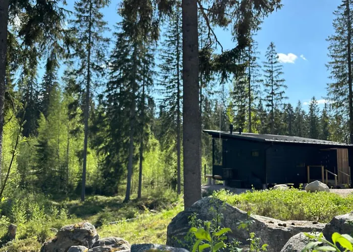 Black * ווירומאקי